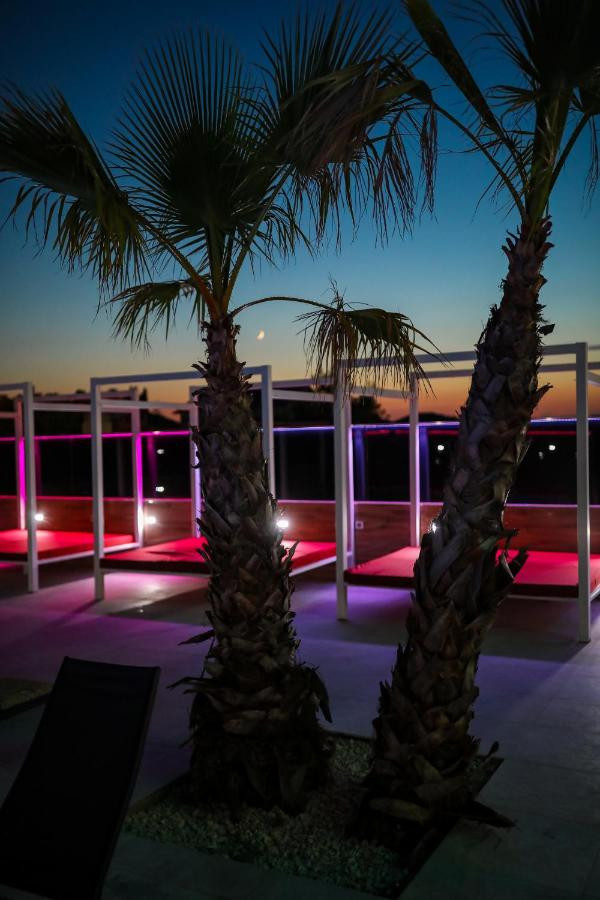 Palme con ambiente rilassante
